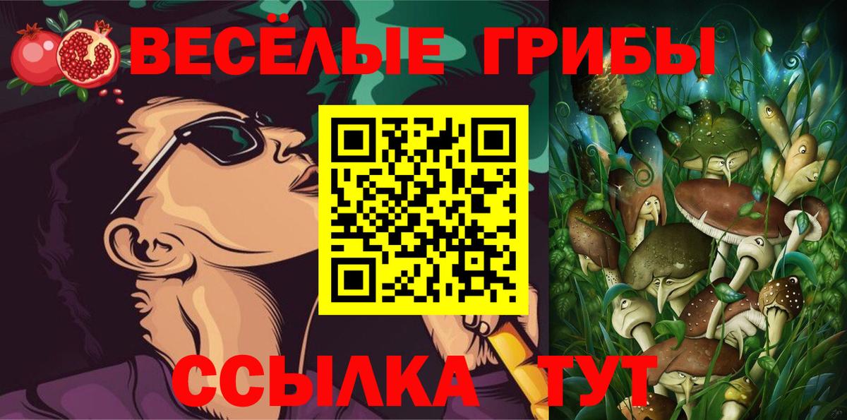 Галлюциногенные грибы GOLDEN TEACHER Тихорецк