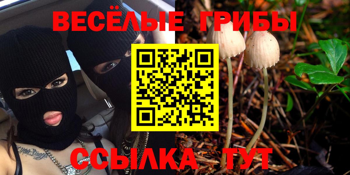 Тихорецк  Галлюциногенные грибы мухоморы  Вход с VPN 